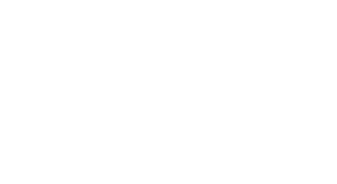 vergys logo white